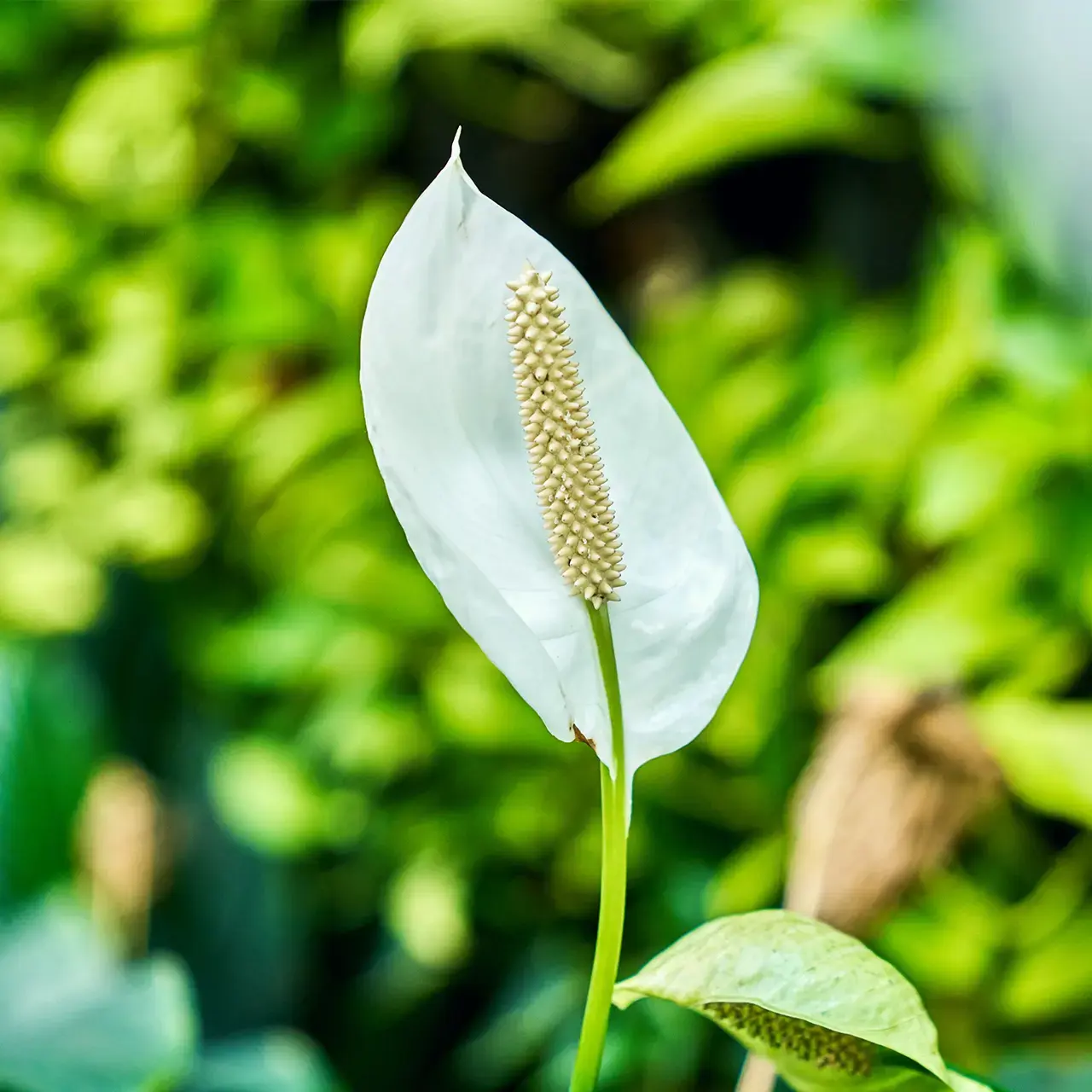 Reference Section 2 Compressed