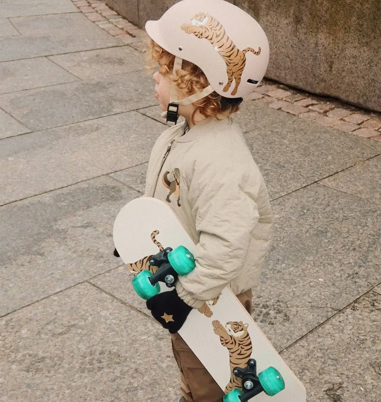 Kgs Case Section 2 Compressed