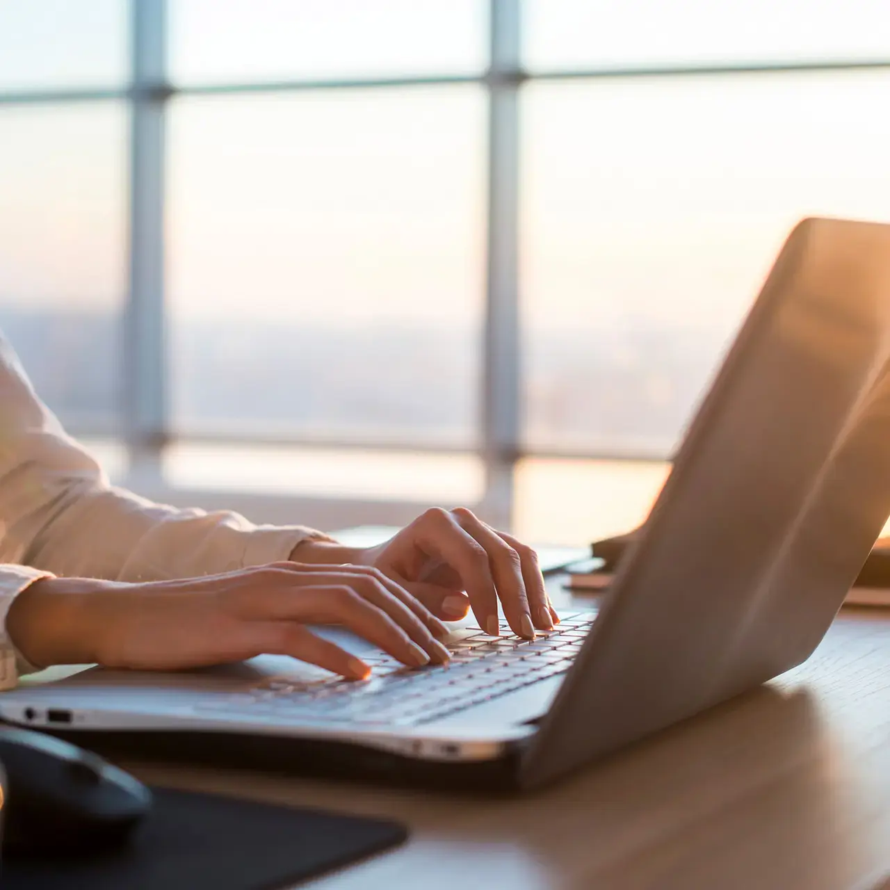 Collection Management 1280X1280 Compressed